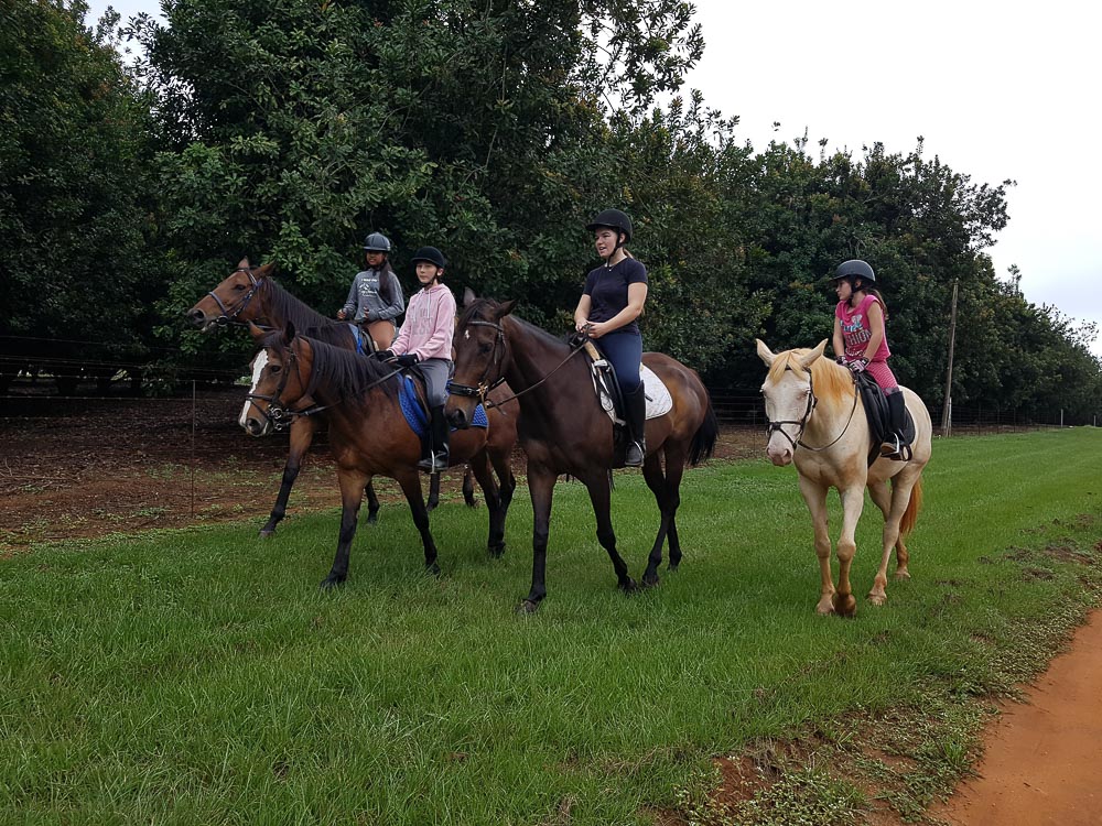 Cinrick Equestrian Centre 1 1