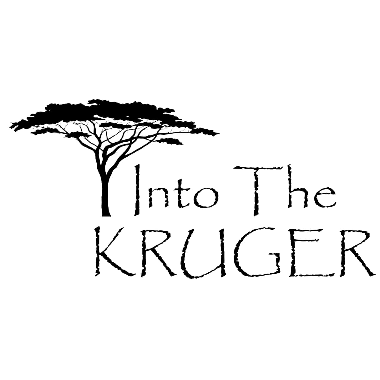 Into the Kruger 1