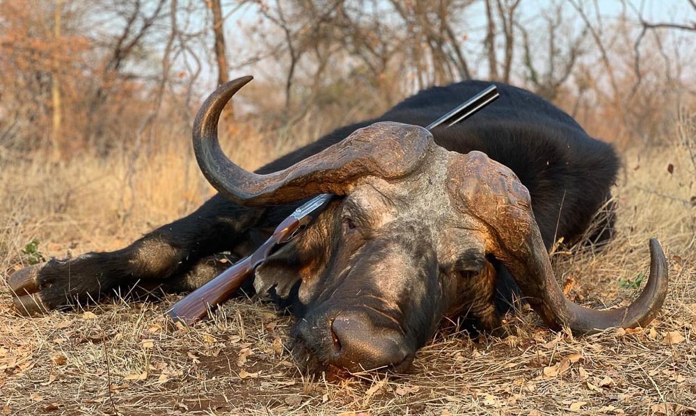 Senatla Hunting Safaris 1 min