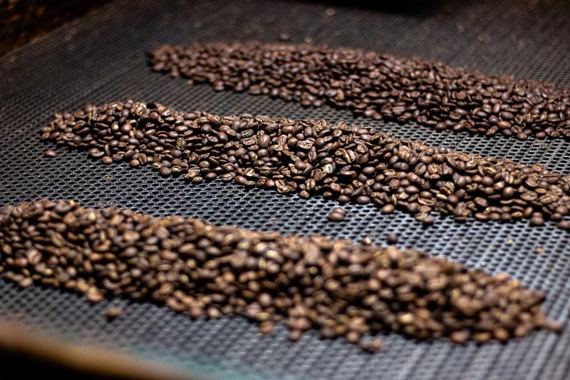 Sabie Valley Coffee 4
